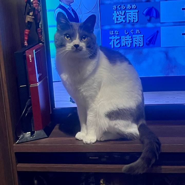 287dec8c 36a4 453c 8760 4c426bf166f1 1648546709074