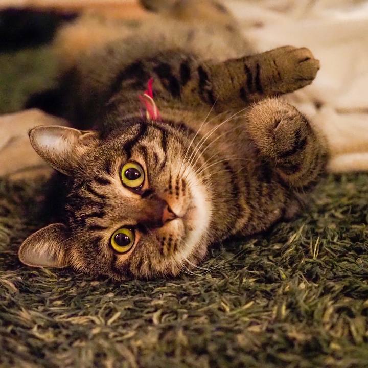 287e2626 5f07 4b5b b1d4 42e0794df229 1642170972822