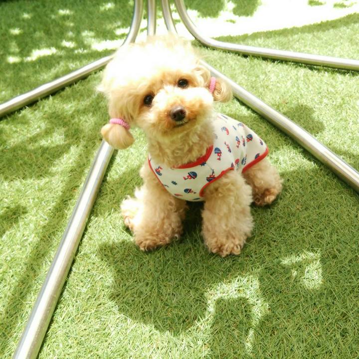 287e2b81 b1d3 44a8 add9 7824fcfb260a 1528976752288