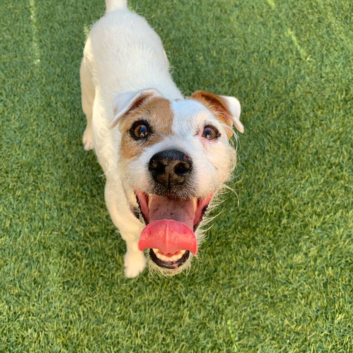 287e3b65 e6aa 4ce6 a46f 7ec94120a9e0 1593877531054