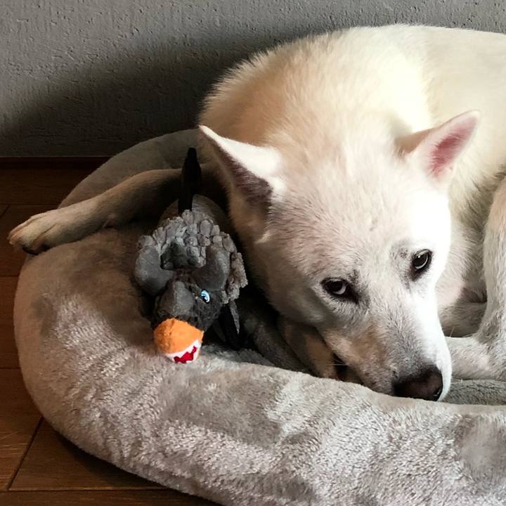 287e3d9b ca22 44ce bb4b 79bae4b692bb 1567986291070