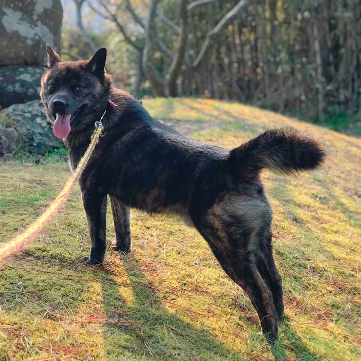 287e6245 d225 4e47 9a7d c229fca7e8b9 1521973963477