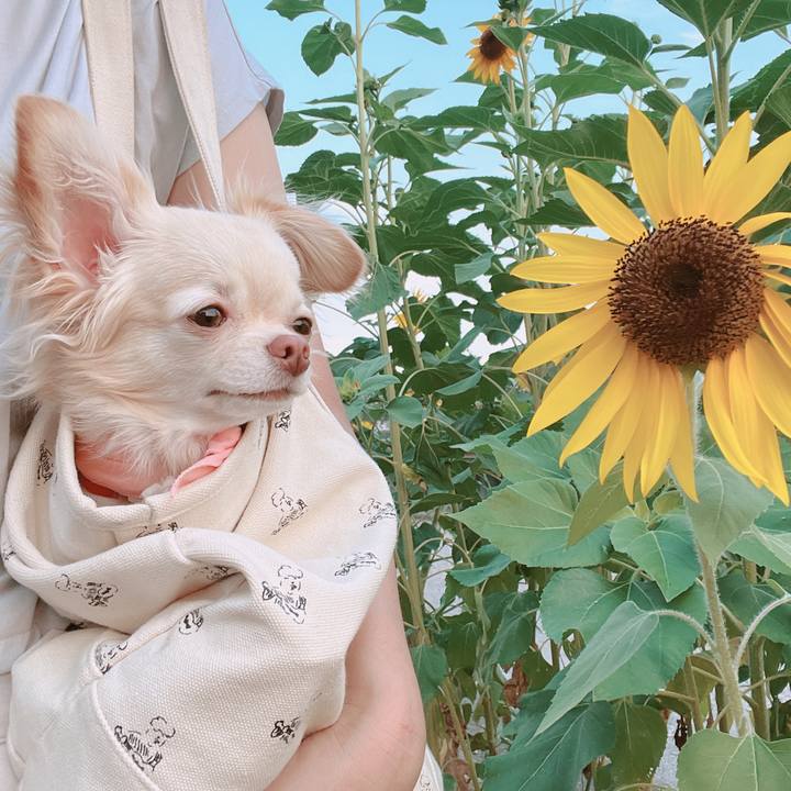 287e7ba4 96b9 4dfa b3b2 2ce2ea265b2b 1656591553337