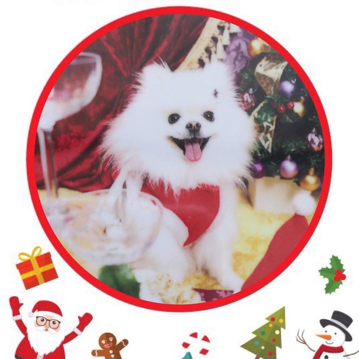 287eb8d5 8d35 4b47 8ed1 740678c66b40 1572840861256