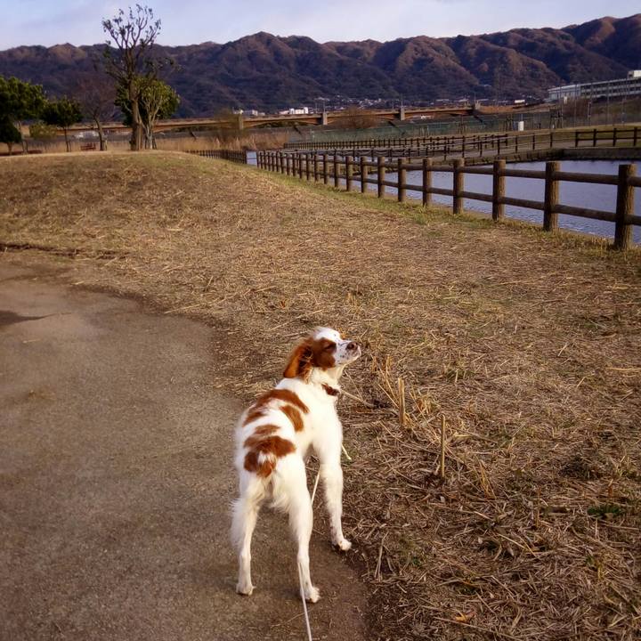 287eddf5 0eab 461d 8483 0bb11c147de0 1514366151173