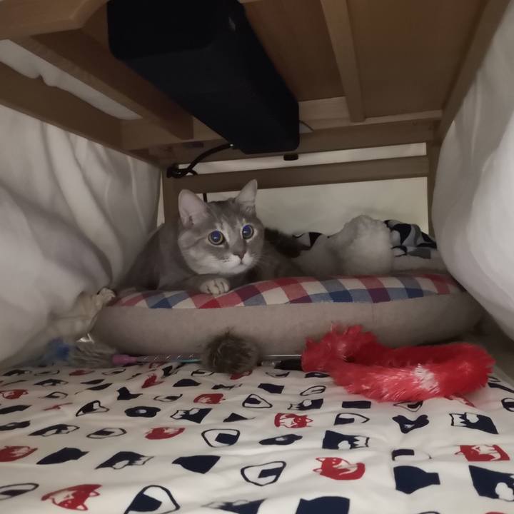 287f1b92 8c50 4f9a 84e4 1519f77d7a3d 1572787719457