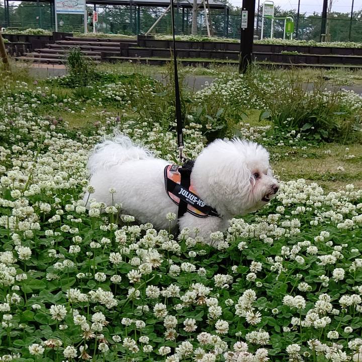 287f2212 c92d 4d55 bda8 d8733f1520b7 1682833949919