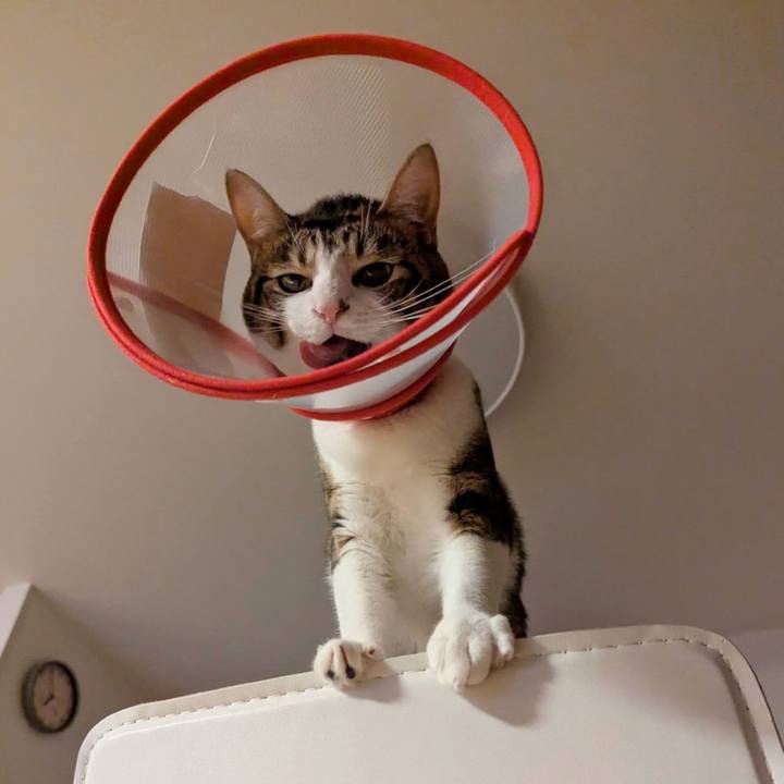 287f3b72 93aa 4f25 ac64 94e1647bd838 1759477042644