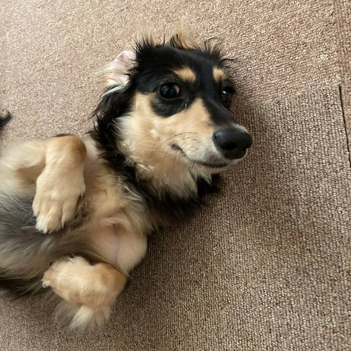 287f3d73 a284 44f1 83c4 80aa316a1aee 1690507908532