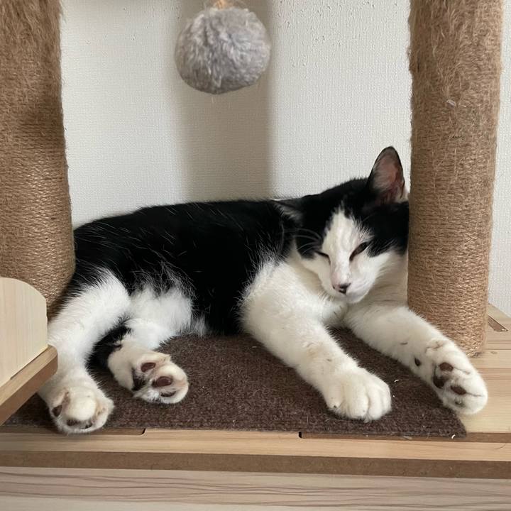 287f5b3e e5da 49b9 8754 efcee92ff137 1695777493573