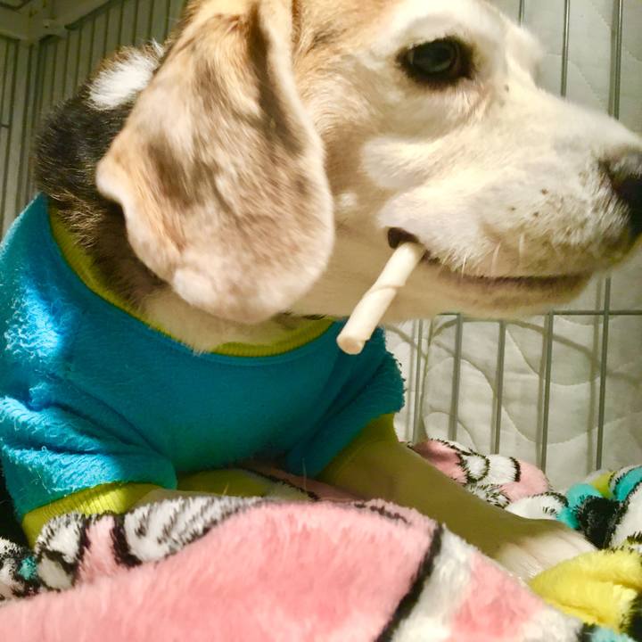 287f63ae 708b 4cc4 a295 41dc2c3e1d98 1770966459957