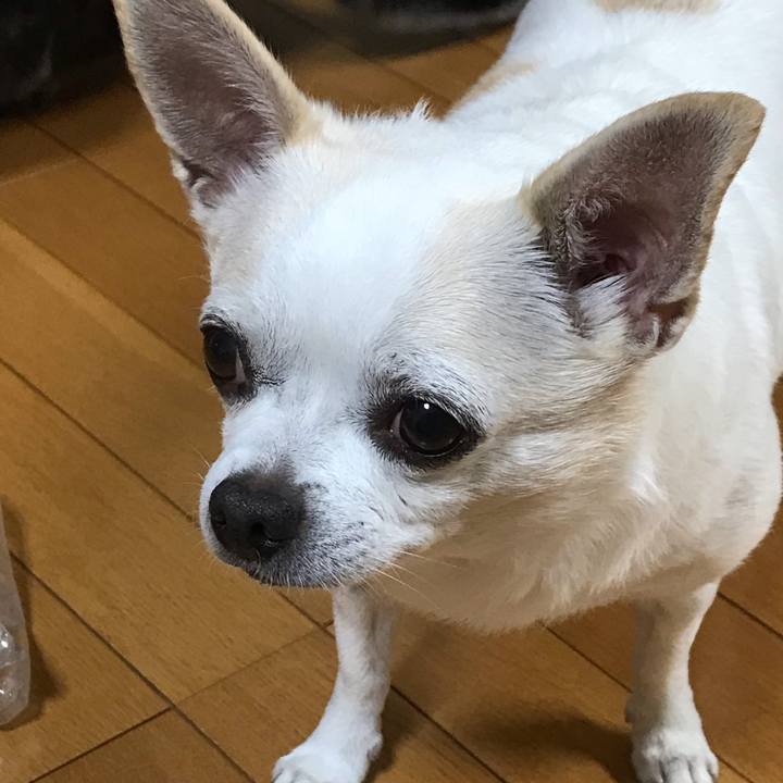 287f7af7 d641 4484 9084 f0fcaafe94f6 1539907902650