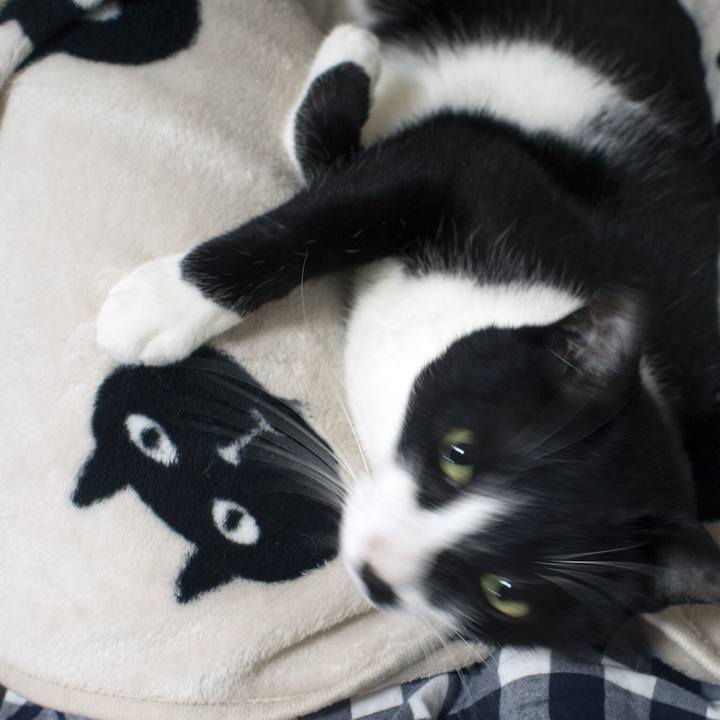 287f7efd cc5a 471e 83fe 82391471332b 1508028897750