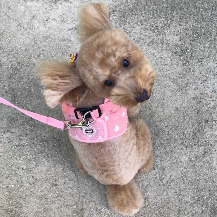 287fc77c b68e 49b6 a0f4 992ffdc3a600 1535283057461