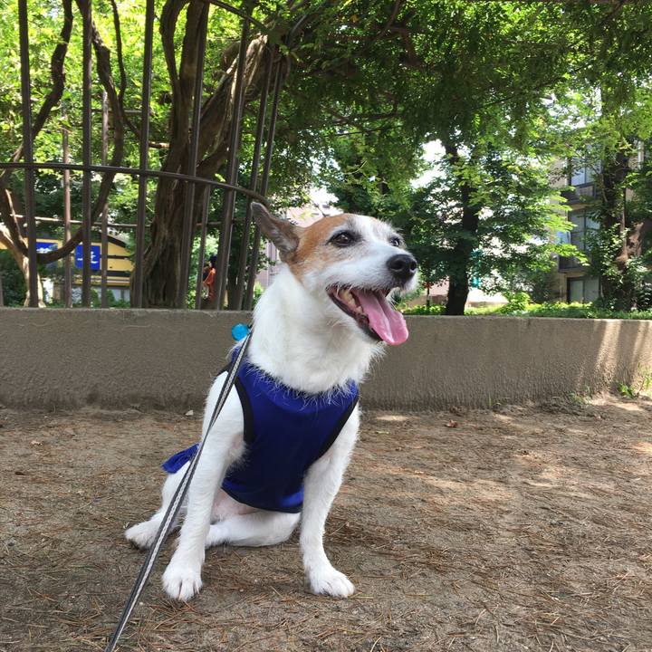 287ff654 ce67 481b aff9 a8e444ff806e 1658272820009