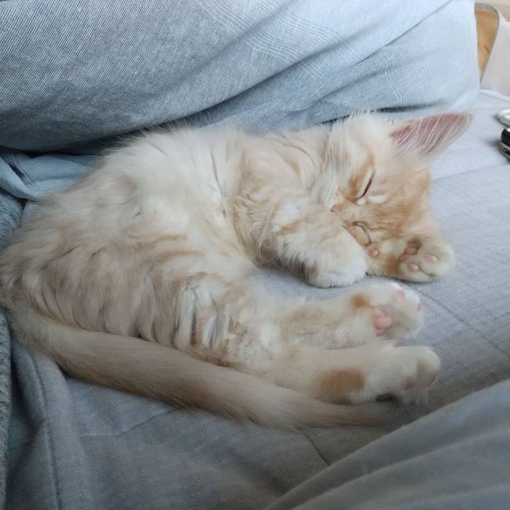 28802422 ee65 4e94 a2e9 caf30eebdbc7 1604188145689