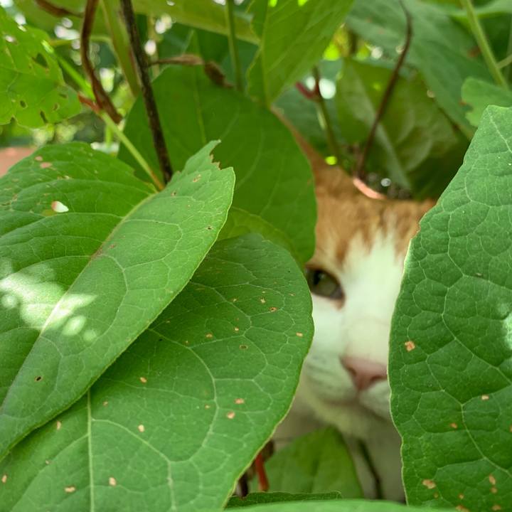 28804820 5ba4 4ef0 8077 d90d1f608625 1593775133849