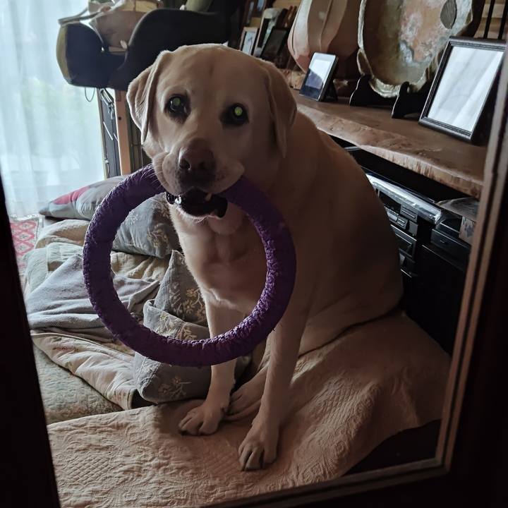 28805bf6 e516 4561 85d1 8887c8010106 1765618288697