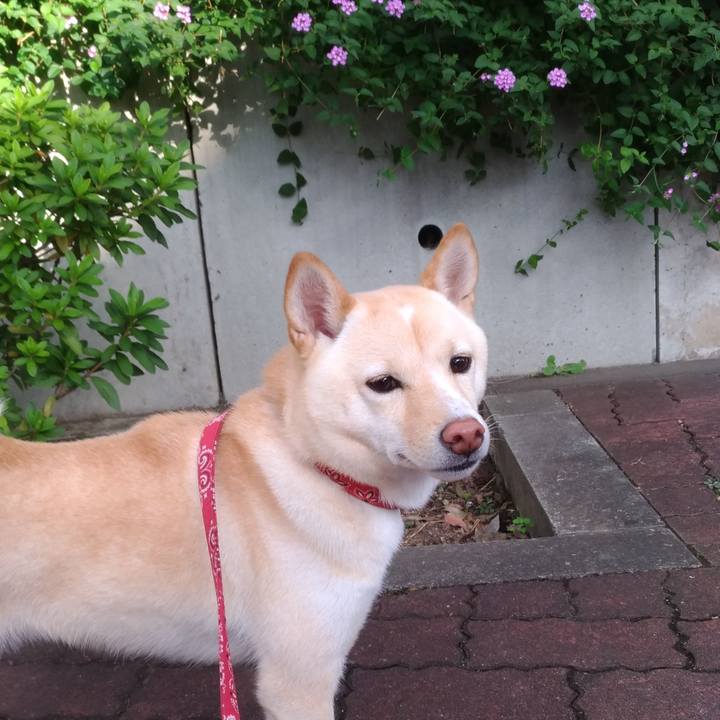 28806dca 1e34 4fac 9d6a 939d5a78982f 1540708575642