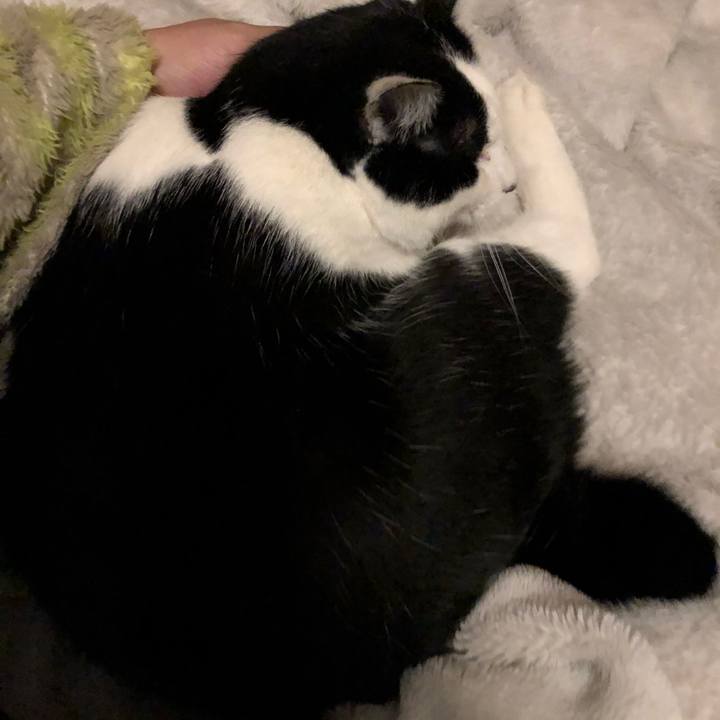 28807e65 e371 4648 a309 006887035fe9 1547480047892