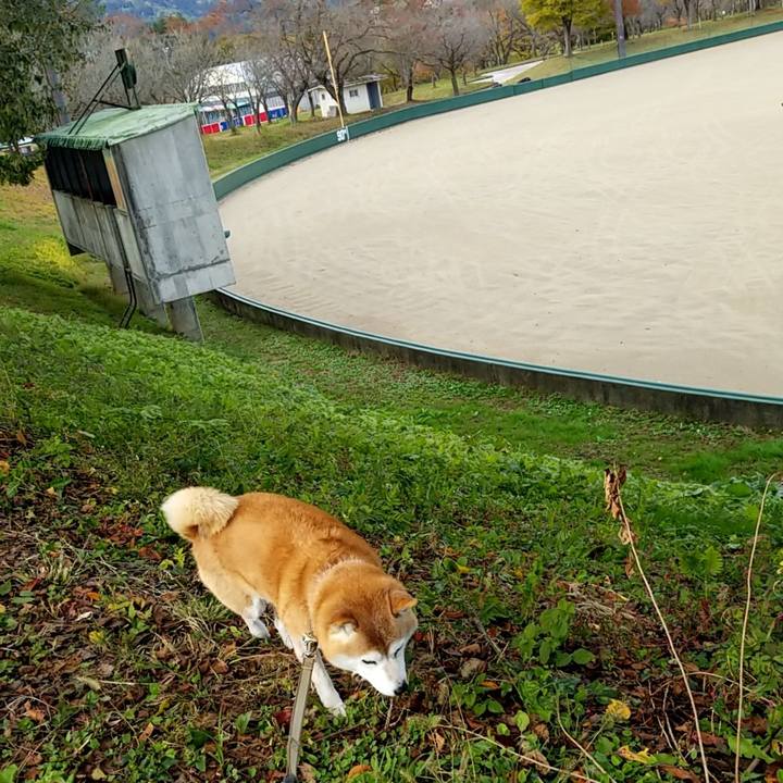 2880b802 f668 4443 9e1f 373f8cefcca5 1667022517598