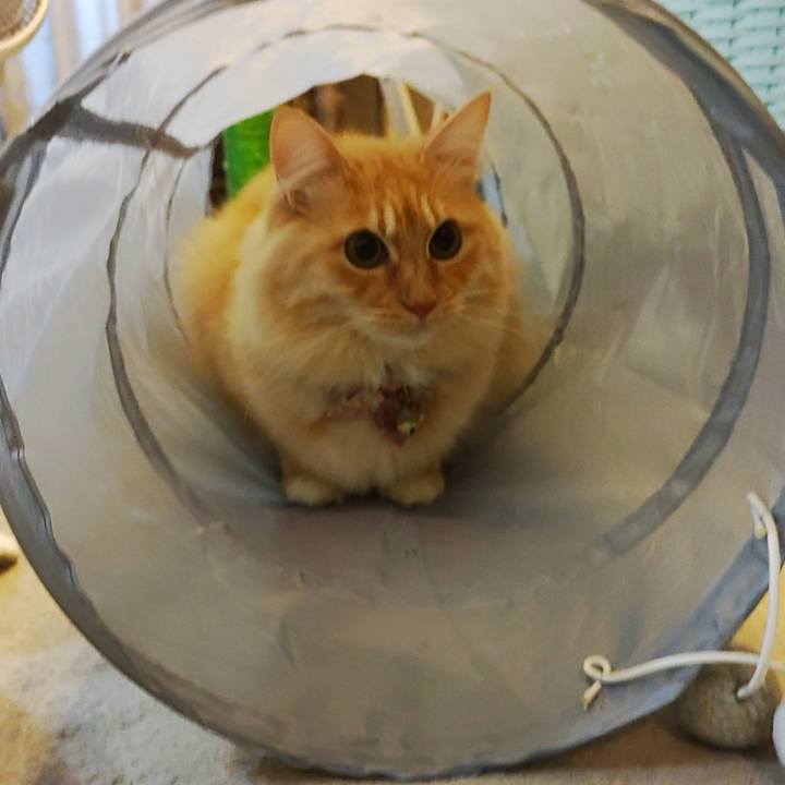 2880f24c d5c6 4ab2 a453 c94406d20dda 1668639476162