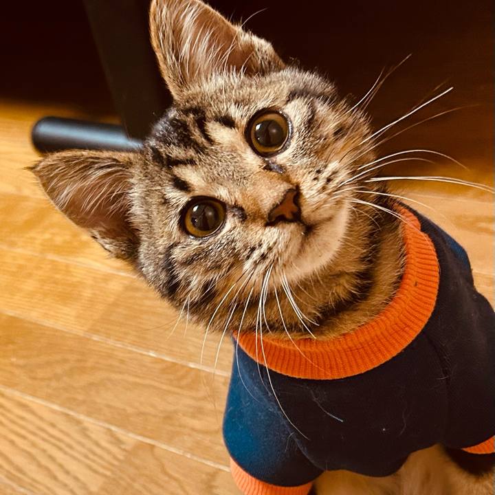 2880fd0e 45b9 451d a2f7 b39a20071b74 1730632496039