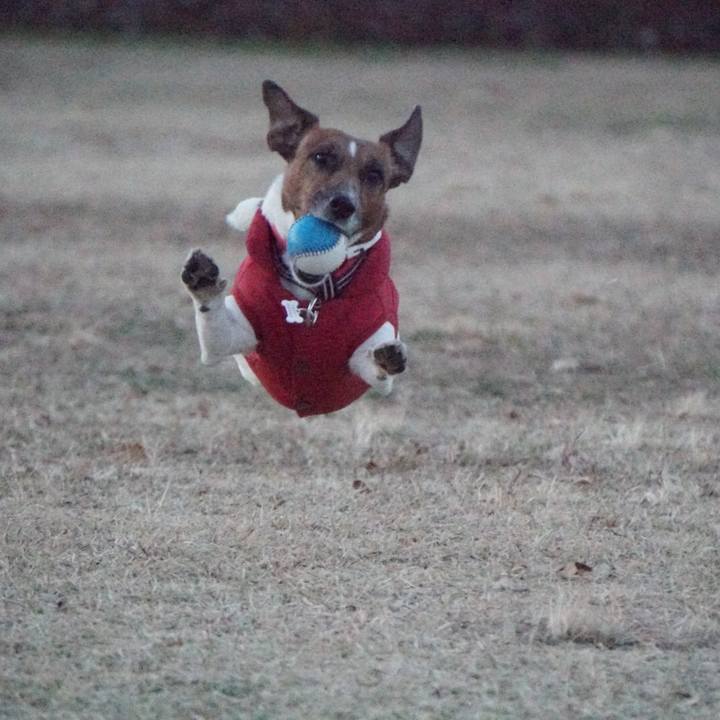 28812801 5882 4a2c aaba 49b00cc47bde 1547074575431