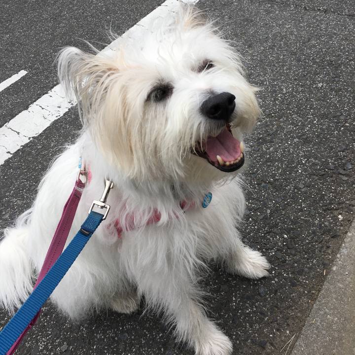 28812de8 befa 432f aaf7 ce7f6da2a7f4 1605503577852