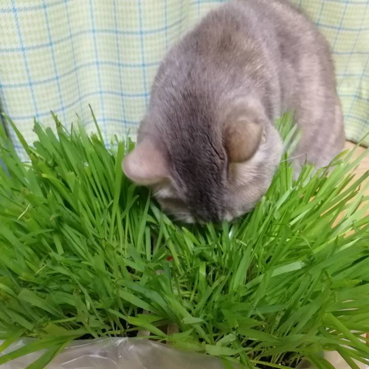 28817f02 bfea 46a1 a6b2 9cb6c601ca24 1521507814657