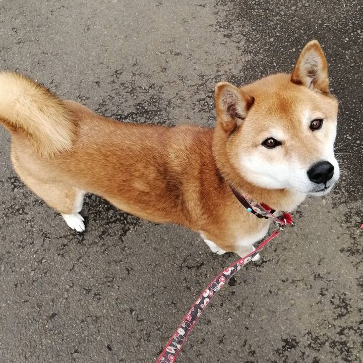 2881d042 e839 4a51 a121 ada7f9755029 1616378873056