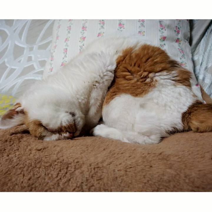 2881e02d 6d17 46ee adf1 860b0d0518f1 1603287380867