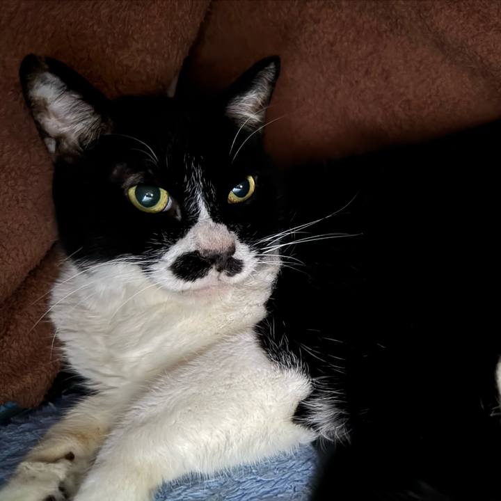 2881e810 e8ac 41fe a6fd eb9f096b4c69 1738890896102