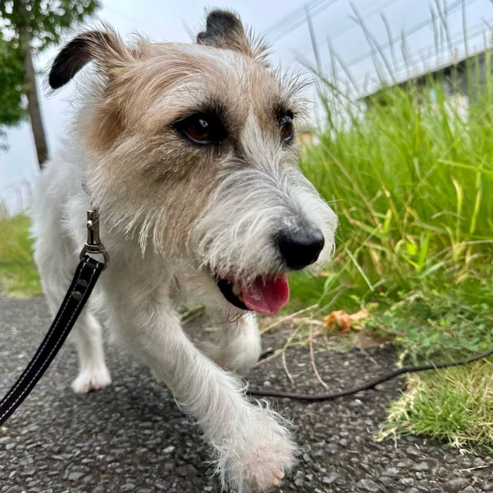 2881ed52 798a 44d5 af34 1bf8ef181d35 1727879531955