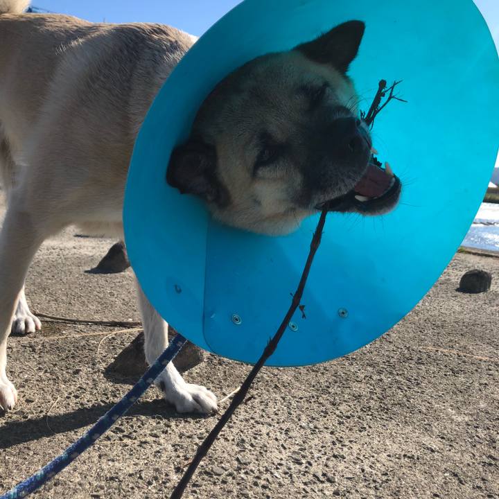 2882636a 75e1 4121 b3dc 7639106a7954 1636285509542