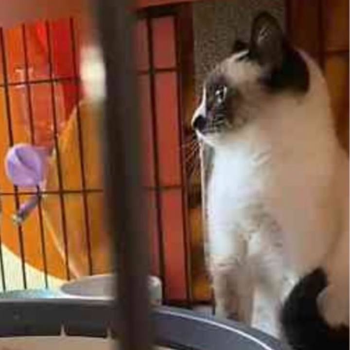 288263e2 25a7 4fa9 854f 6126501303e4 1686209048435