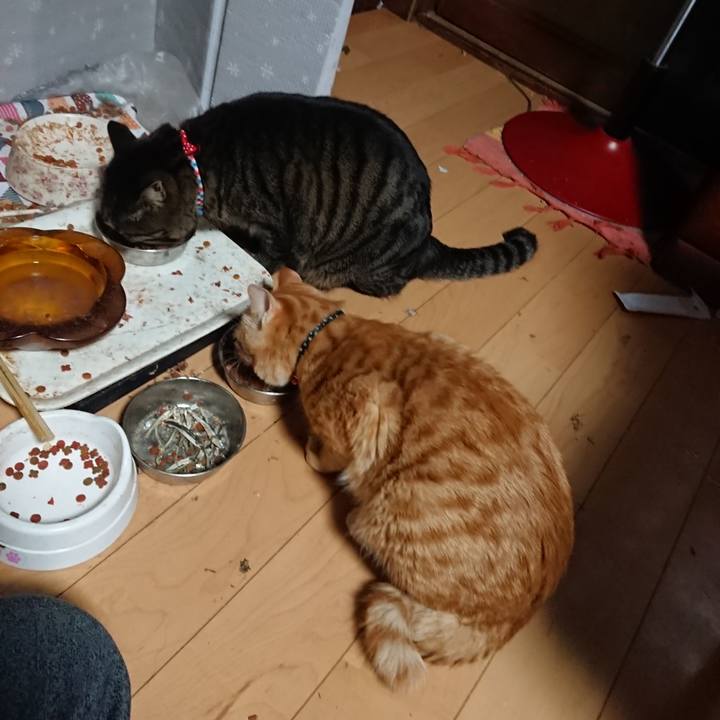 288280bb f992 4eb7 994e d5faa0b31933 1642108607728