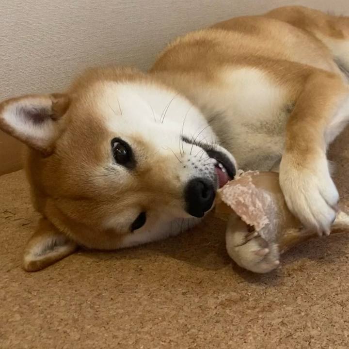 28828f16 0061 409b 9295 1abbcb4bc5ff 1648084007601