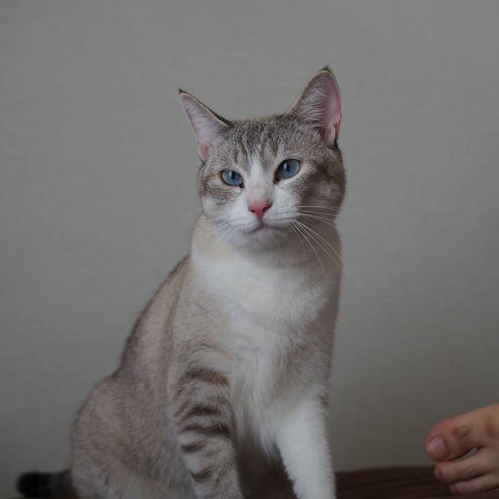 2882af89 f64a 4414 b42b f9dd78819132 1532142636862