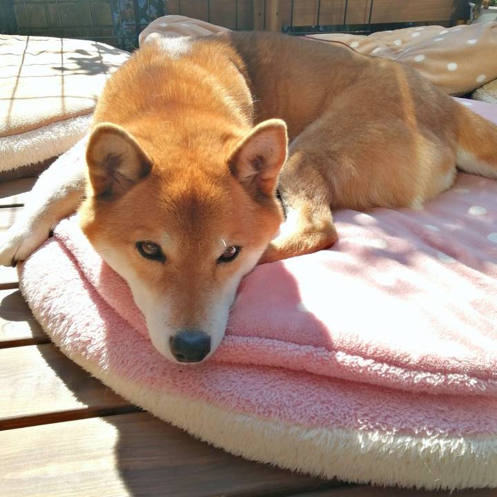 2882f61b 4e52 40be b74d 6a30d5ea8249 1613530036544