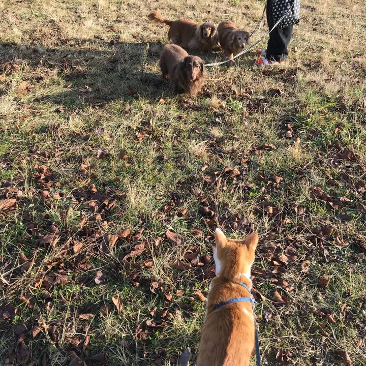 2883062c 5ca4 4a20 8b47 6a3f8d28ad55 1512465227558