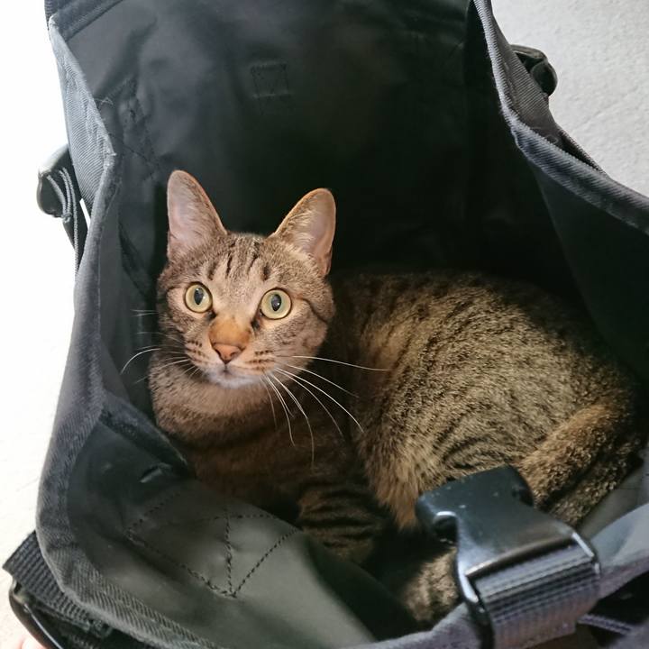 28830f7c 9c24 4191 a4c6 bca5d092236b 1559959992858