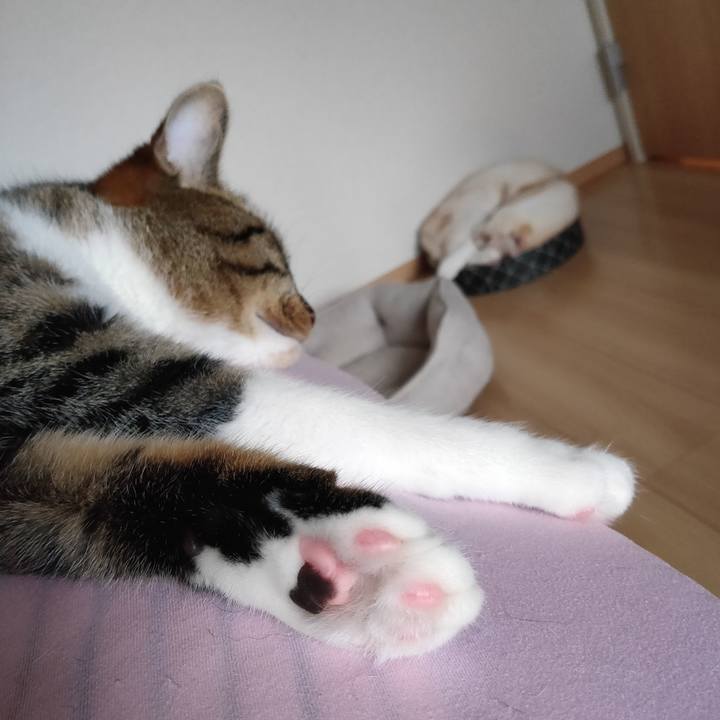 2883ca4c 8dd6 468d 9531 c55c3557aa7f 1660456540181