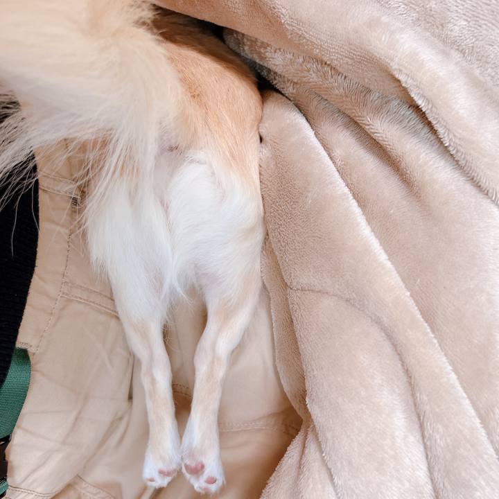 2883e14d d3d2 4b34 b0ac 7f597a18c44a 1665977957662