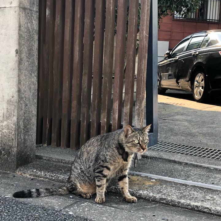 28840507 e48e 4f46 8c46 c9fb05829621 1564851238743