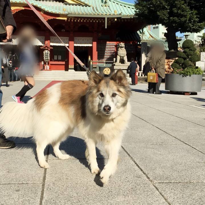 28840b7d 026f 42bd b9e2 65a2df410639 1511610848272