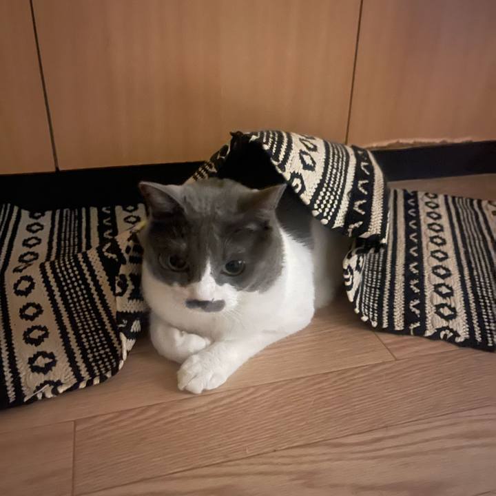 28845505 9634 4c62 a001 b9bb83dd839b 1723655336694