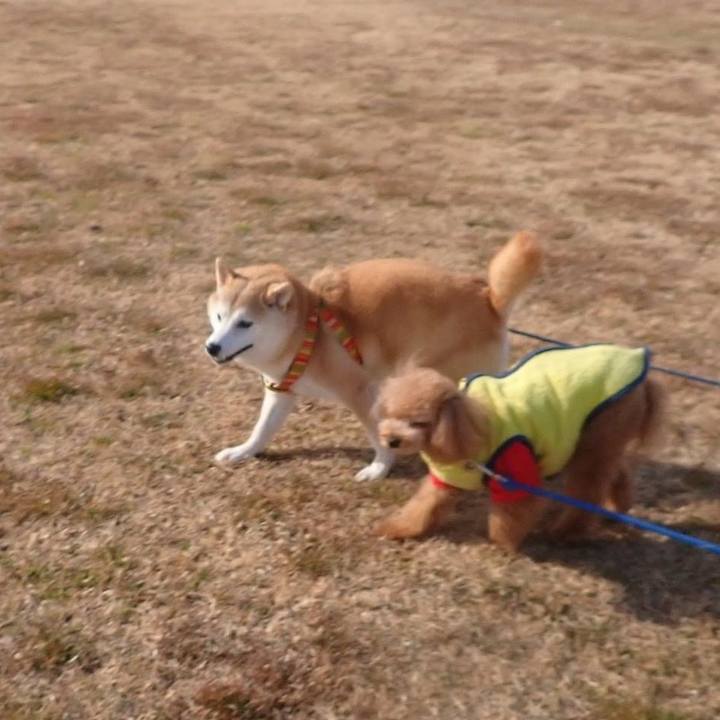 28846ec8 9dd4 4469 9ff4 445cb0511361 1757827136329