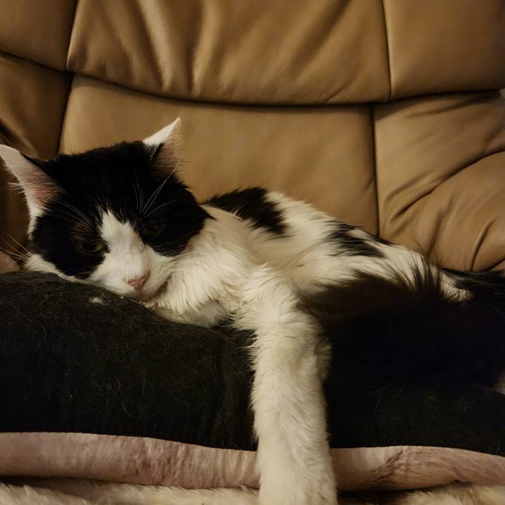 2884a7ce 233c 4355 97b8 565381cb1ae9 1736893383691