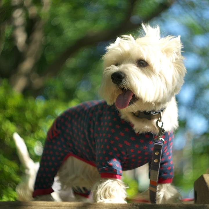 2884b099 42bf 4229 ad3e e08385251314 1524739924229